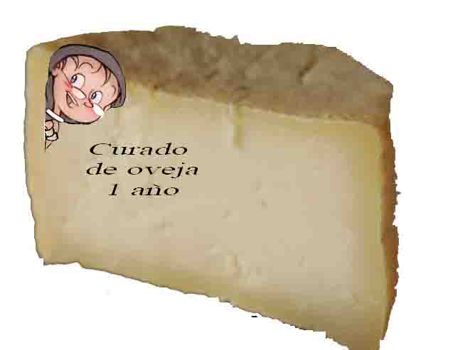 QUESO CURADO DE OVEJA UN AÑO MITAD 450 gr. (aprox)